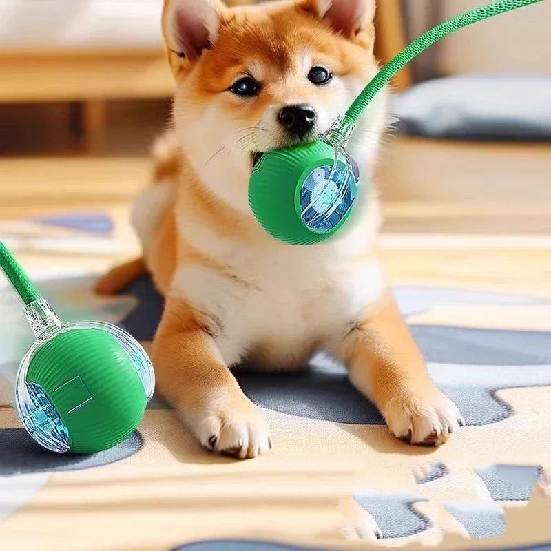 Rechargeable Smart Pet Interactive Automatic Rolling Ball Toy for Cats & Dogs with Simulated Tail - Durable Dog Toys
